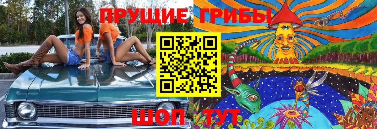 Норильск  Псилоцибиновые грибы Cubensis  Вход с VPN 